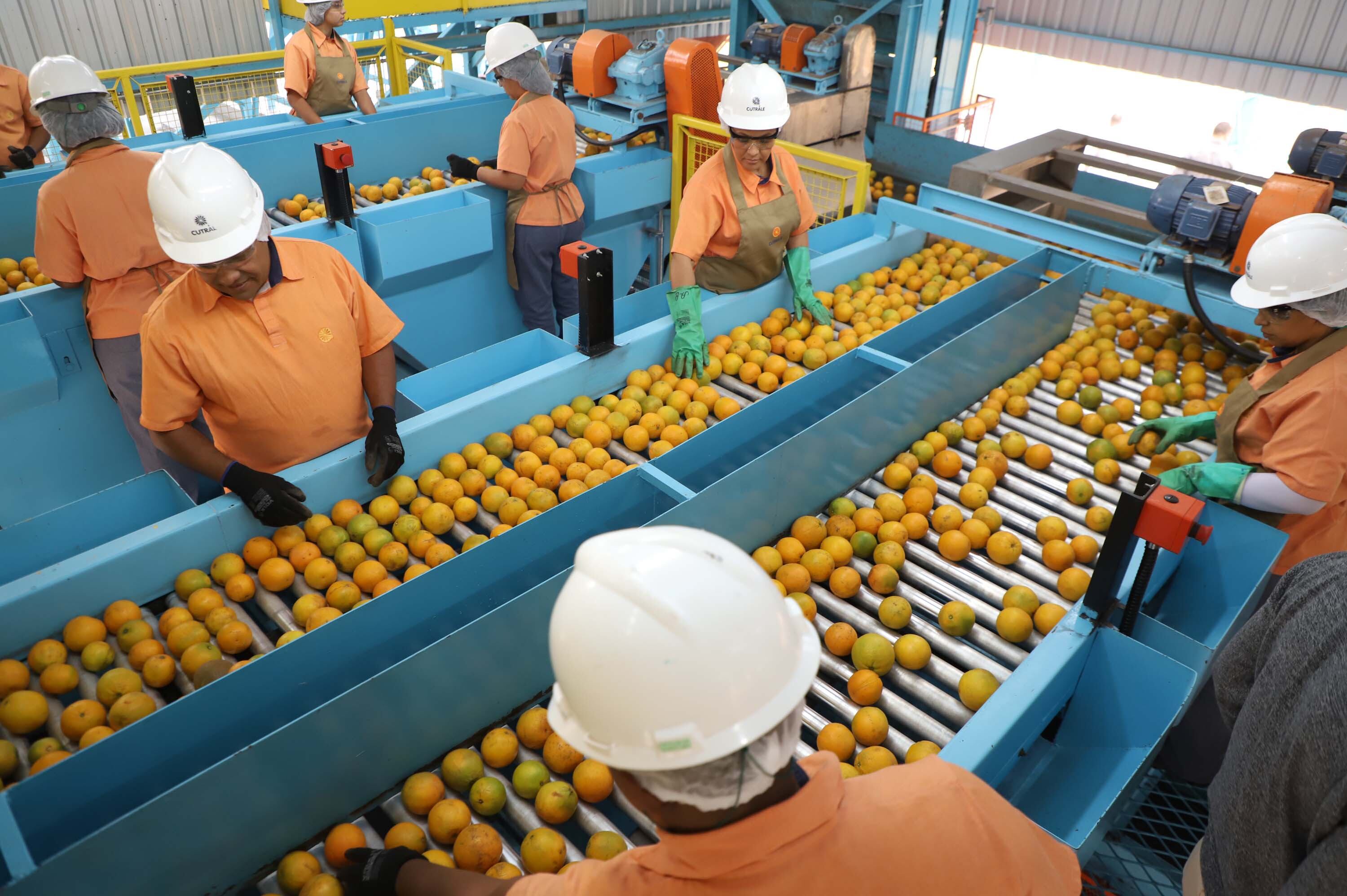 Tarifas de 50% pode ter impacto maior em produtos como suco de laranja, peças de avião e soja