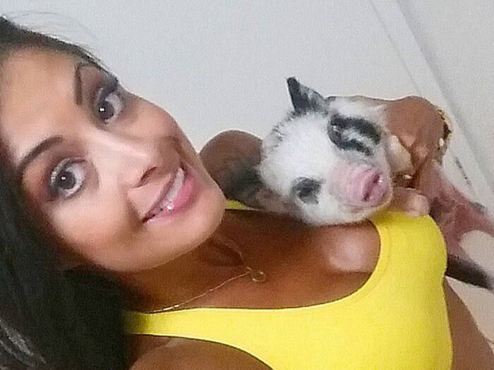 Dona
do cachorro Huck e completamente apaixonada por animais, Aline Riscado decidiu
que queria realizar um sonho de infância: ter um porquinho como animal de
estimação. E depois de muito pesquisar, ela comprou o pequeno George, um mini
pig para lá de fofo! Em conversa com o R7, a modelo contou como é ser dona
desse pet tão diferente

Wendy Candido, R7

+ Aline Riscado revela que não se preocupa com alimentação: “Sou viciada em chocolate”

+ Gente como a gente! Aline Riscado fala rotina de exercícios: “Não tenho um prazer imenso em malhar”

