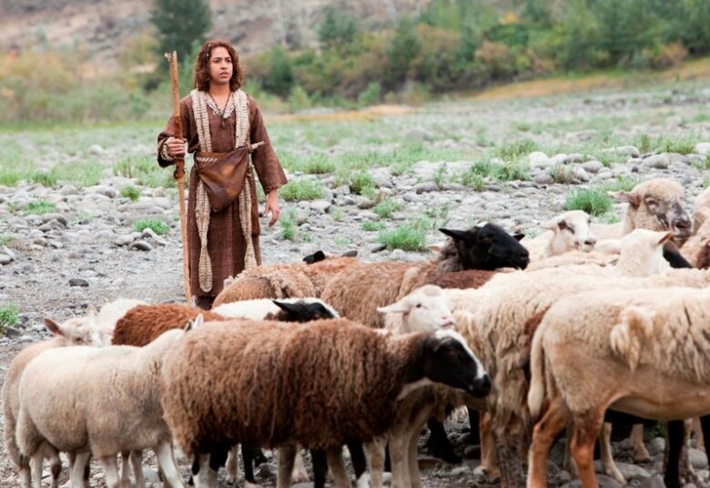 1- Um menino corajoso

Davi era o menor na casa de Jessé e, por causa da sua estrutura física, era desprezado diante dos irmãos guerreiros. Ele apascentava ovelhas, mas demonstrou coragem e fé em Deus em muitas vezes nas quais correu perigo. Davi defendia seu rebanho como um bom pastor e aproveitava o tempo para compor salmos