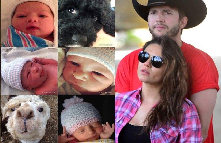 Mila Kunis, casada com Ashton Kutcher, deu à luz Wyatt Isabelle Kutcher em setembro. O nome da menina foi decidido na última semana de gravidez, a caminho de um jogo dos Lakers. A primeira foto da recém-nascida foi postada pelo papai coruja, que fez uma brincadeira com os fãs e pediu para que adivinhassem quem era a filha do casal
Veja mais:

Mila Kunis está no time! Famosas que tiveram filhos em 2014 já desfilam com corpão

Grávida, Mila Kunis é fã de roupas confortáveis; confira o estilo da atriz
