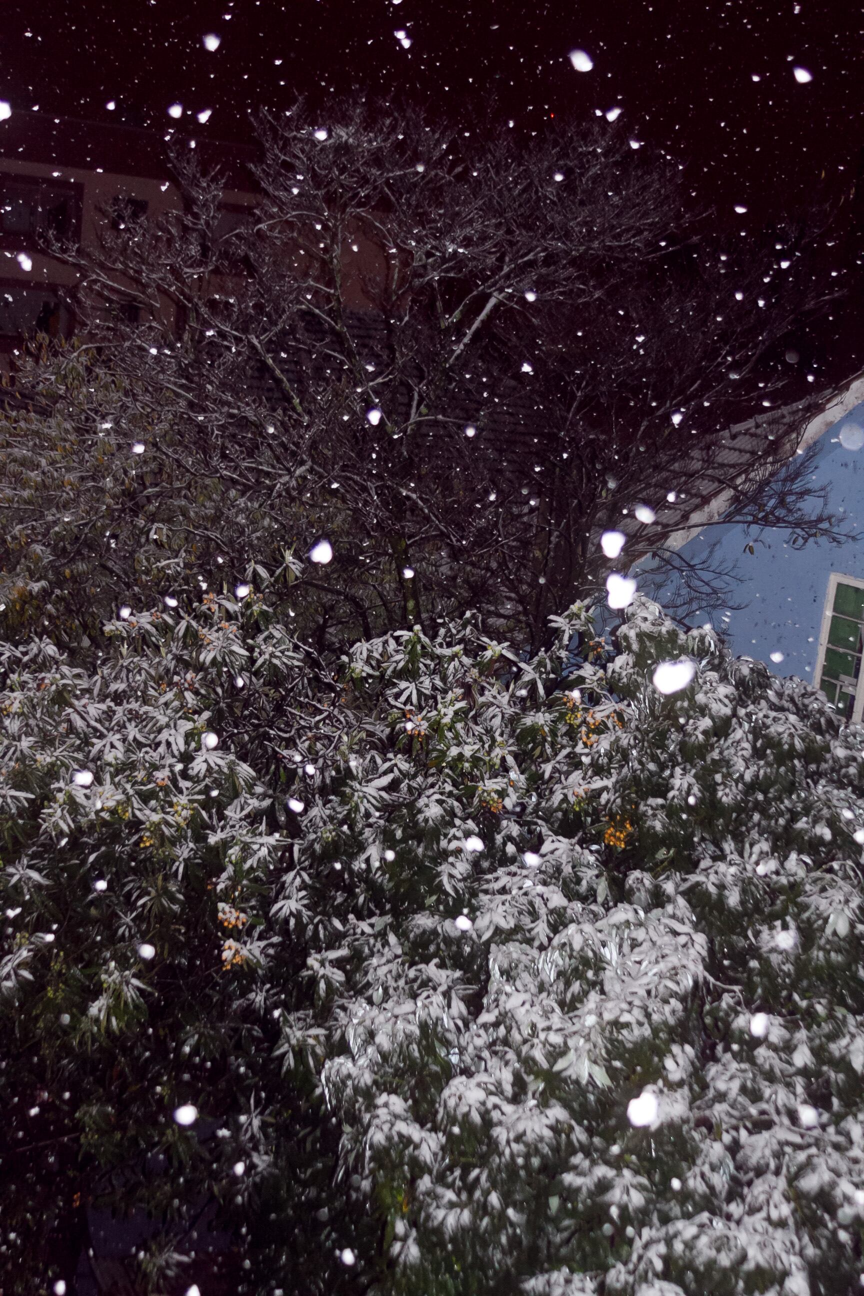 Também existe registro de neve no norte do Estado