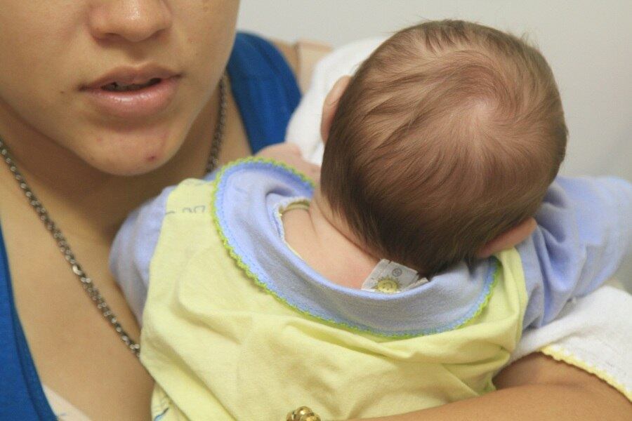 Transmitido pelo Aedes aegypti, o zika vírus começou a circular no Brasil em 2014