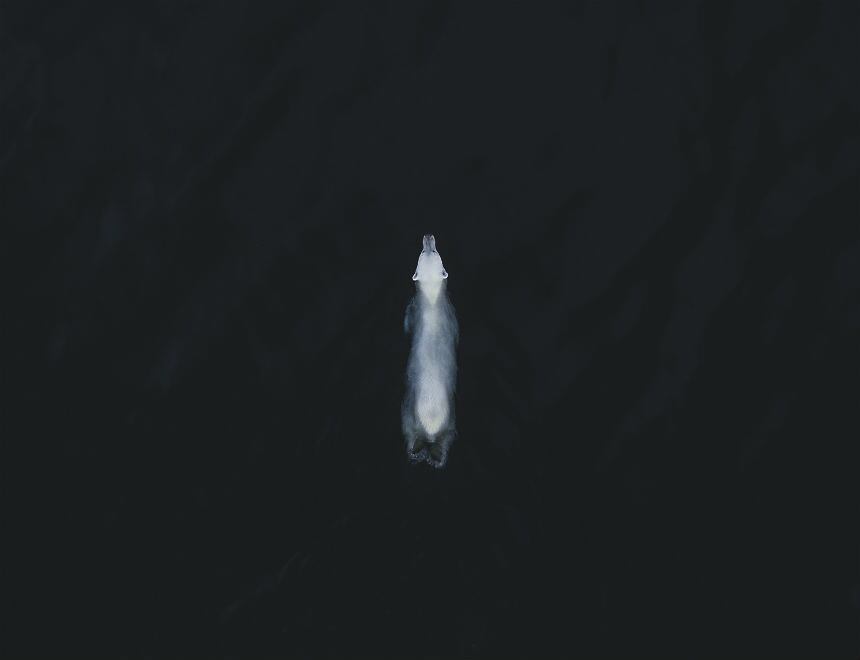 concurso de fotos natureza