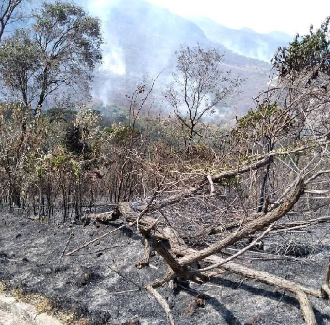 Incêndio destrói 50% do Parque Serra da Moeda (MG)