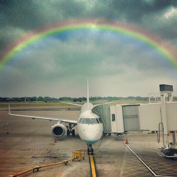 Faker, photos, instagram, filter, filtro falso