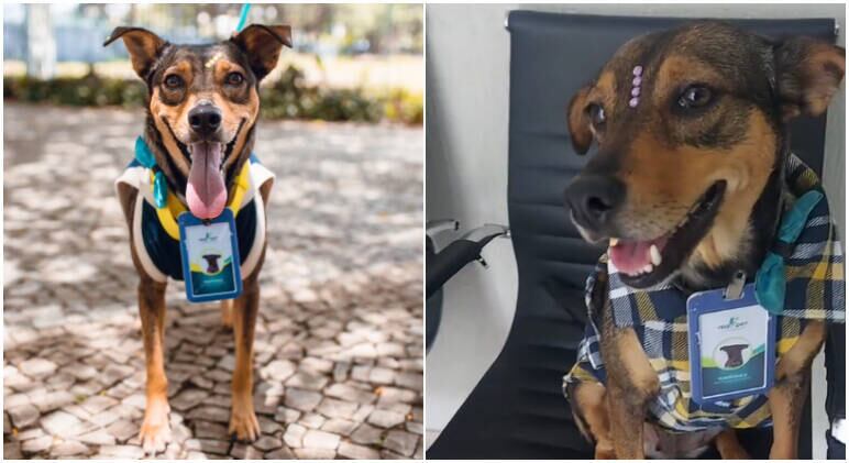 Tchutchuca é funcionária de uma funerária no Rio