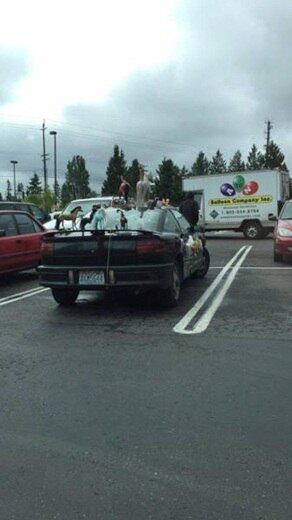 Este realmente deve gostar dos animais