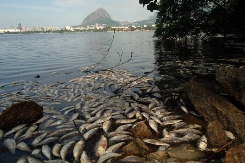Em abril passado, mais de 50 toneladas de peixes mortos foram recolhidas na Lagoa, zona sul do Rio de Janeiro