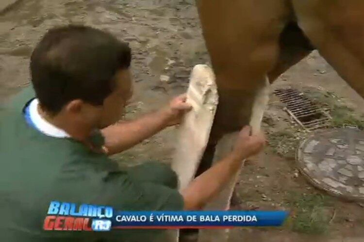 O cavalo precisou usar "muletas" com placas de acrílico para
poder se locomover. O veterinário, que cuidou de Empezão, contou que o caso era
muito delicado.

— No caso do Empezão, os veterinários recomendavam a eutanásia