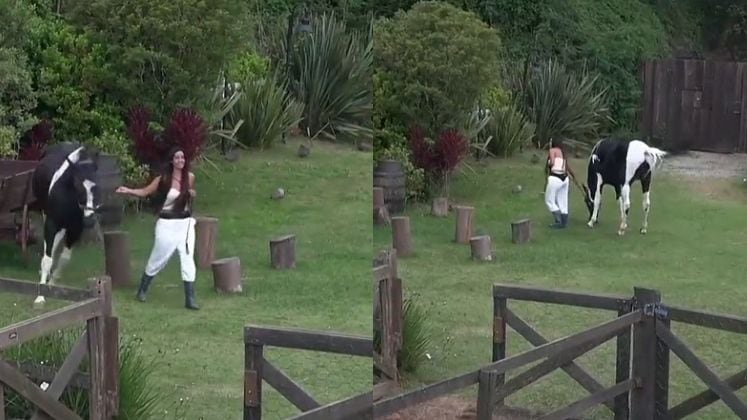 Mas Colorado não é tão bonzinho o tempo todo! Ele adora que as coisas sejam como ele quer e nem sempre os peões estão sabendo disso. Kerline pediu ajuda para os colegas depois que ele ficou dando voltas em círculo durante o trato. "Ele fica girando!", disse a peoa aos amigos, que se divertiam com a cena. Será que ele só queria brincar?