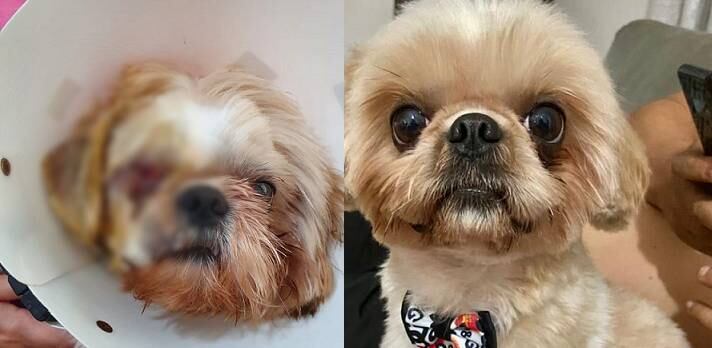 Família não foi comunicada sobre o que aconteceu