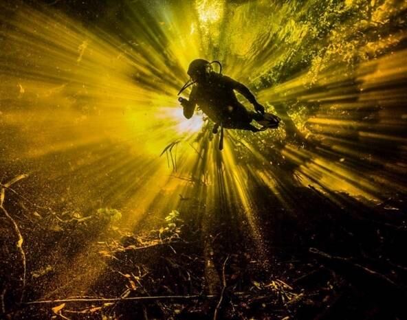 Paul Nicklen, do Canadá
