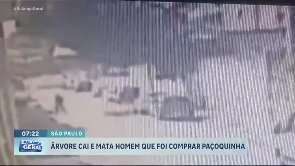 Homem morre atingido por árvore que estava sendo cortada durante obra em São Paulo