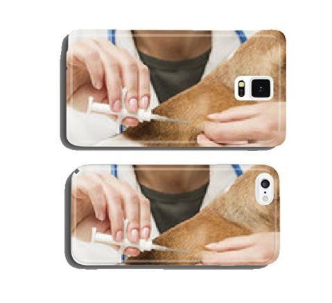 Uma injeção no animalzinho, ótima para quem gosta de pets saudáveis!