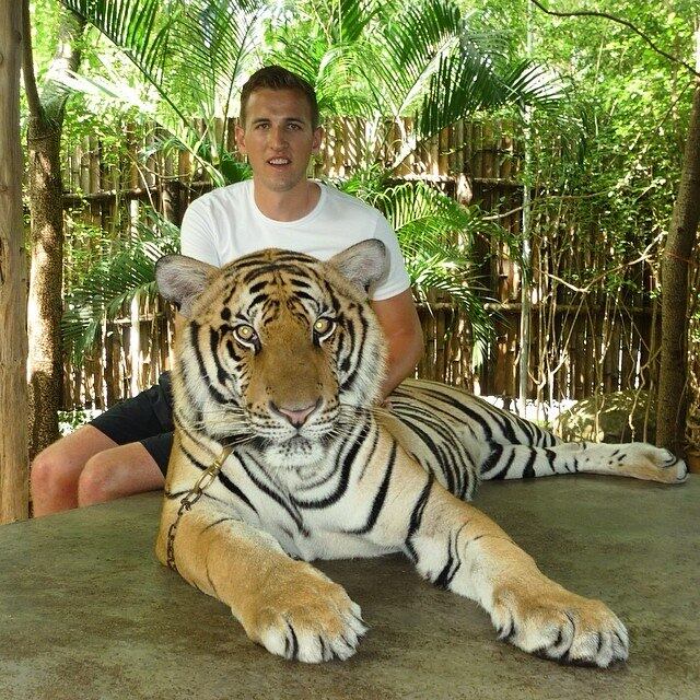 No entanto, algumas vezes, o atleta gosta de conhecer animais maiores e já fez questão de visitar um tigre

Veja também: Tá de brincadeira? Konami pisa na bola com amantes do PES