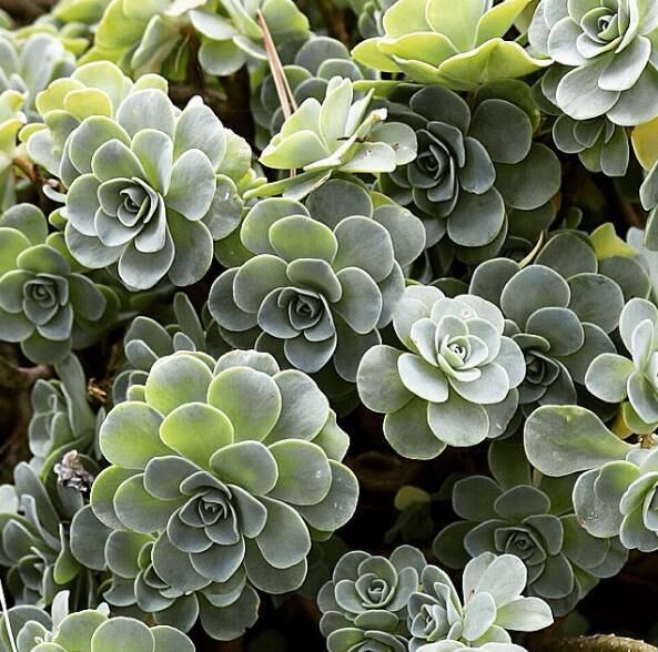 Agora, se as fotos estarão cheias de azul do mar, tons quentes e vibrantes, é uma boa hora para filtros que realcem as formas, as cores e as luzes da praia. Um exemplo é o efeito Lo-fi, que que aumenta o contraste, destacando cores e formas da fotografia