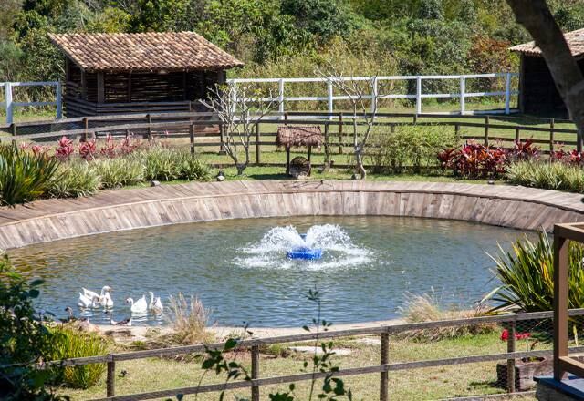 A Fazenda 12 tem apresentação de Marcos Mion, produção da Teleimage, com direção do núcleo de realities de Rodrigo Carelli e direção-geral de Fernando Viudez