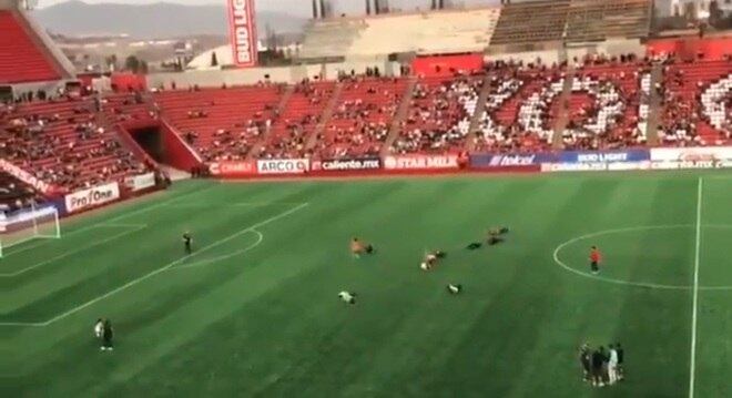 Torcedores do Tijuana rolaram no gramado durante o intervalo de um amistoso

