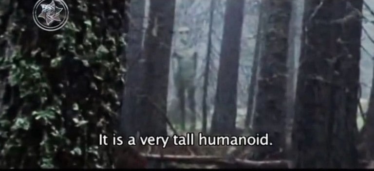 O mesmo blog que divulgou essa imagem tinha mostrado, no último dia 18 de setembro, esta imagem de um suposto humanoide 