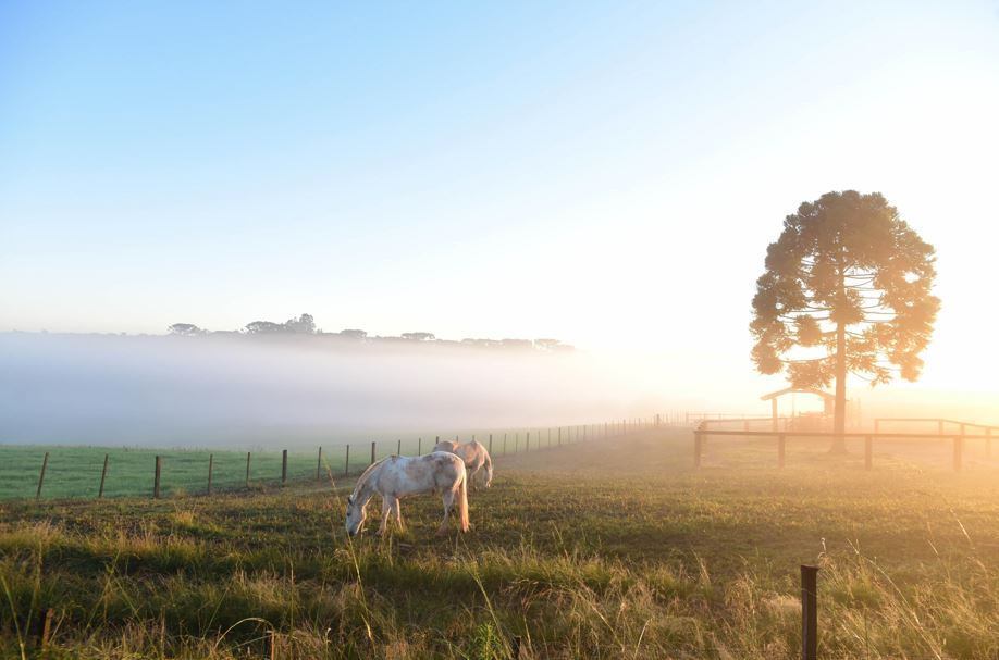 Apesar do céu azul e o sol à mostra, o clima segue gelado em Passo Fundo. Não há previsão de chuva nas cidades do estado neste fim de semana
