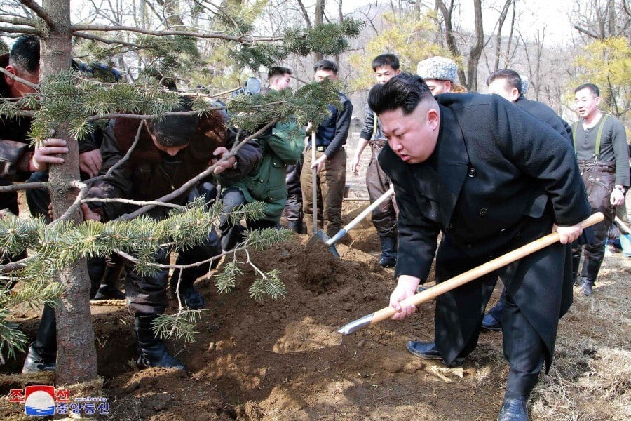 Os principais jornais da Coreia do Norte dedicam editoriais na terça-feira ao dia do plantio de árvores
