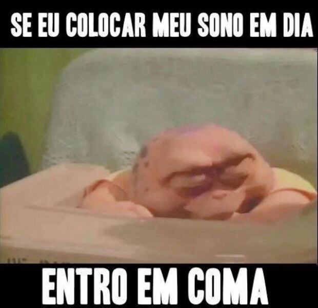 Desde o tempo dos dinossauros.... sono é fundamental