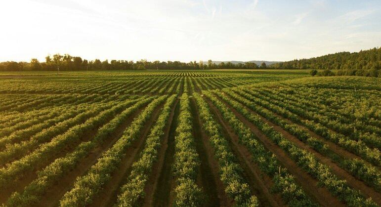 TIM é líder em abrangência 4G no agronegócio no Brasil