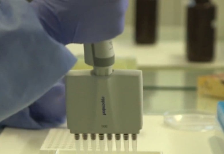 A metodologia faz parte de um projeto internacional em parceria com o Ministério da Saúde
Faça a sua parte: use 10 minutos do seu dia para acabar com a dengue