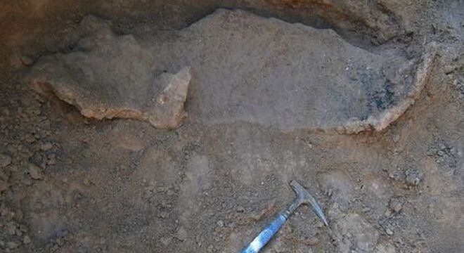 Carapaça encontrada é de espécie que viveu há 16 mil anos
