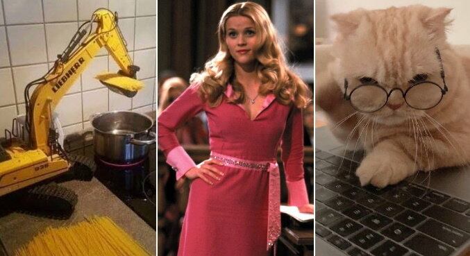 Estudantes fizeram vários memes sobre o próprio curso