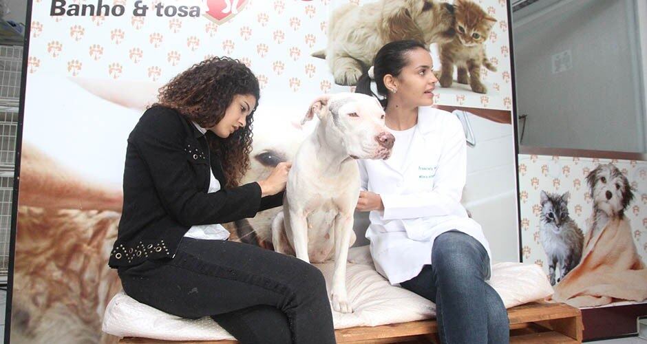 Após ser encontrada, a filhote tomou banho e foi tosada, mas
infelizmente as marcas das pichações ainda continuam na pele, marcas de maus
tratos que ficarão por um bom tempo. A suspeita da médica veterinária,
Franciely Varoni, é que a pichação tenha sido feita com tinta óleo pela dificuldade
de retirada da pele