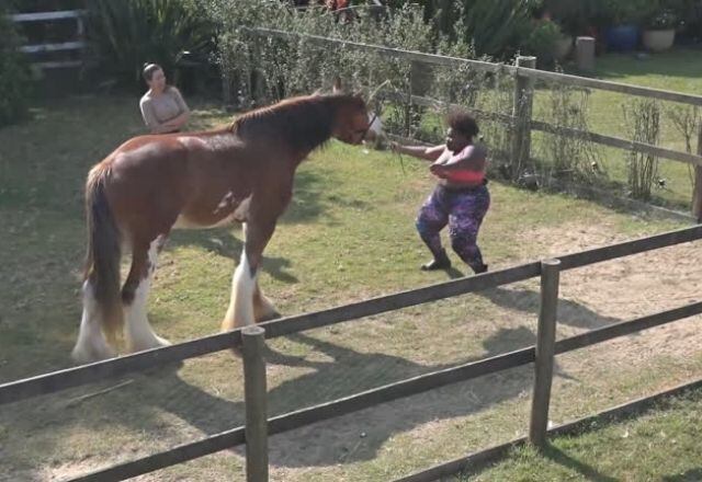 Lyon não sabia, mas Jojo estava confinada na sede e seria uma das suas cuidadoras! E a aparição da cantora diante do animal foi uma das mais animadas! Teve cantoria e dança logo cedo. Lyon se deu bem e ganhou um show exclusivo!