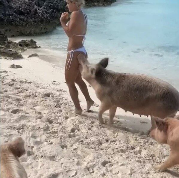 Michelle leva mordida no bumbum