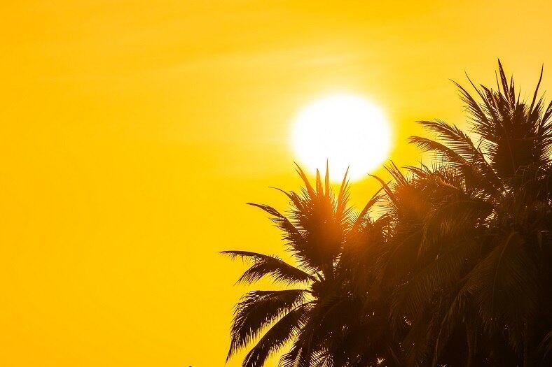 A forma mais eficaz de produzir vitamina D naturalmente é com a exposição solar ao ar livre, sem proteção, por alguns minutos, preferencialmente no início da manhã. Mas muitas pessoas residem em locais com pouca luz solar. Outras têm condições específicas que as tornam mais vulneráveis à deficiência dessa vitamina e precisam de suplementação. Peixes gordurosos, como sardinha, atum e salmão, também são fontes de vitamina D