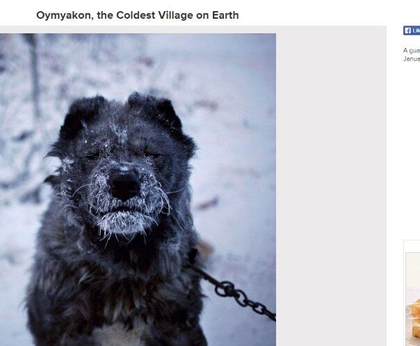 Nem o cãozinho de guarda foi poupado do forte frio nos subúrbios de Yakutsk