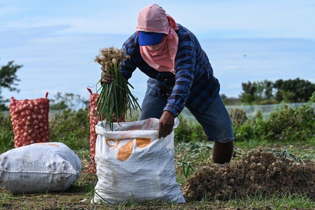 Salvador Catelo, economista agrícola da Universidade das Filipinas, comentou que há "muitos desafios que precisam ser resolvidos imediatamente". 

"Temos riquezas naturais que muitos outros países não têm, mas eles são (melhores) do que nós em termos de produtividade e autossuficiência", disse Catelo


