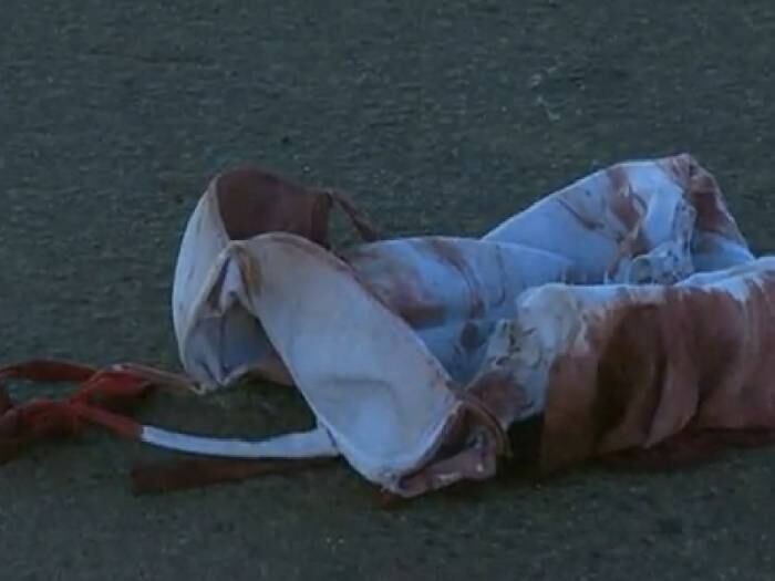 Ataques fizeram 312 vítimas somente no ano passado