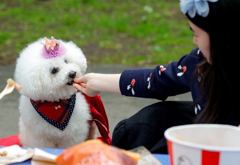 Diferentemente do dia chuvoso da coroação, neste domingo o tempo colaborou 