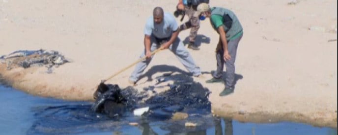 Animais foram levados ao Parque Ecológico
