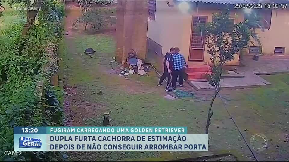 Criminosos invadem casa e levam cachorra de estimação depois de não conseguirem arrombar portão