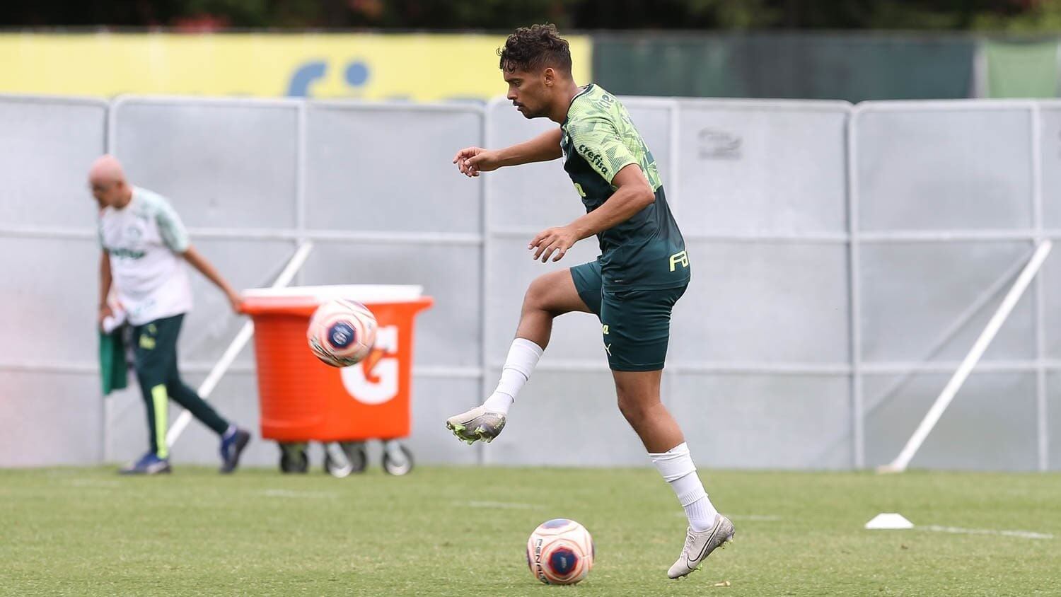 Camisa 14: Artilheiro do Verdão na Libertadores de 2019 com seis gols, Scarpa tenta recuperar espaço em 2020