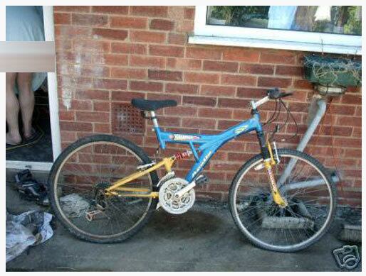 Internautas pelados, ebay, produtos