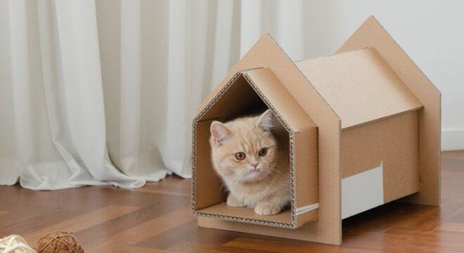 Embalagem pode ser utilizada para construir novos objetos
