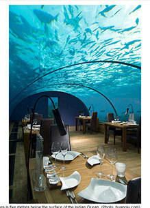 A visão panorâmica do Ithaa Undersea não deixa dúvidas do porquê de ele
ter sido eleito o restaurante mais lindo do mundo pelo jornal americano
New York Daily News