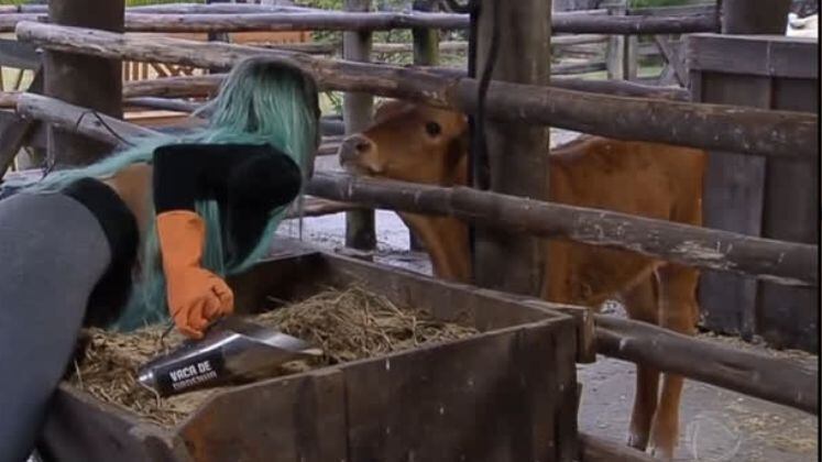 Tati também se dava super bem com os bichos. Além de curtir fazer o trato, a peoa distribuía carinho e demonstrava que levava jeito para as funções