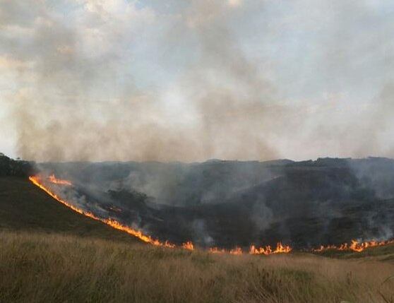 Fogo já destruiu 5 km² da área