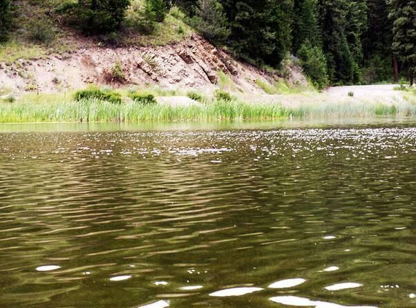 Uma semana depois de sua viagem, Michael, que era praticante de atletismo, categoria Júnior Olímpico, ficou com febre ligeira e se queixava de dor de cabeça. Mais tarde teve um pouco de dor no pescoço e a dor de cabeça começou a piorar, até ser levado ao hospital
