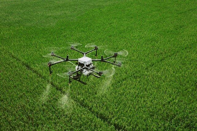 Drone com Inteligência Artificial ajuda no reflorestamento