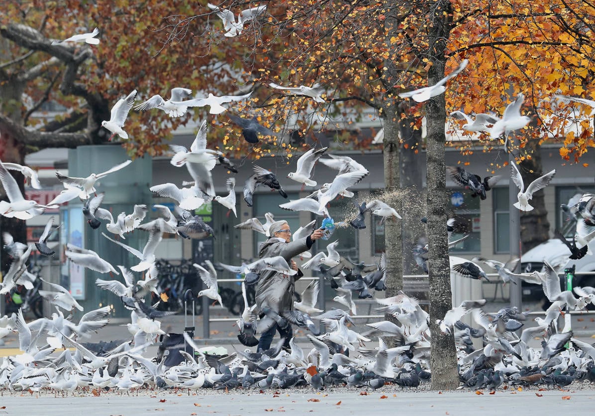 A woman feeds birds on a public square in Zurich, Switzerland November 11, 2020. REUTERS/Arnd Wiegmann