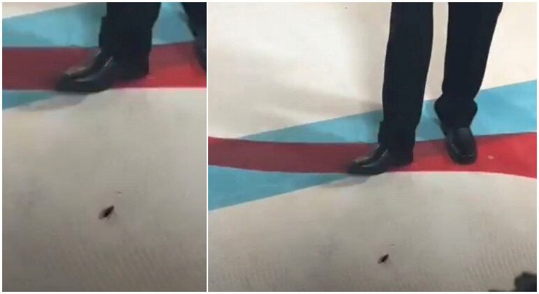 A barata no Met Gala

